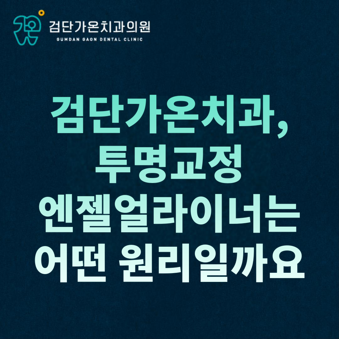 엔젤얼라이너 교정, 단계별 트레이가 치아를 움직이는 원리